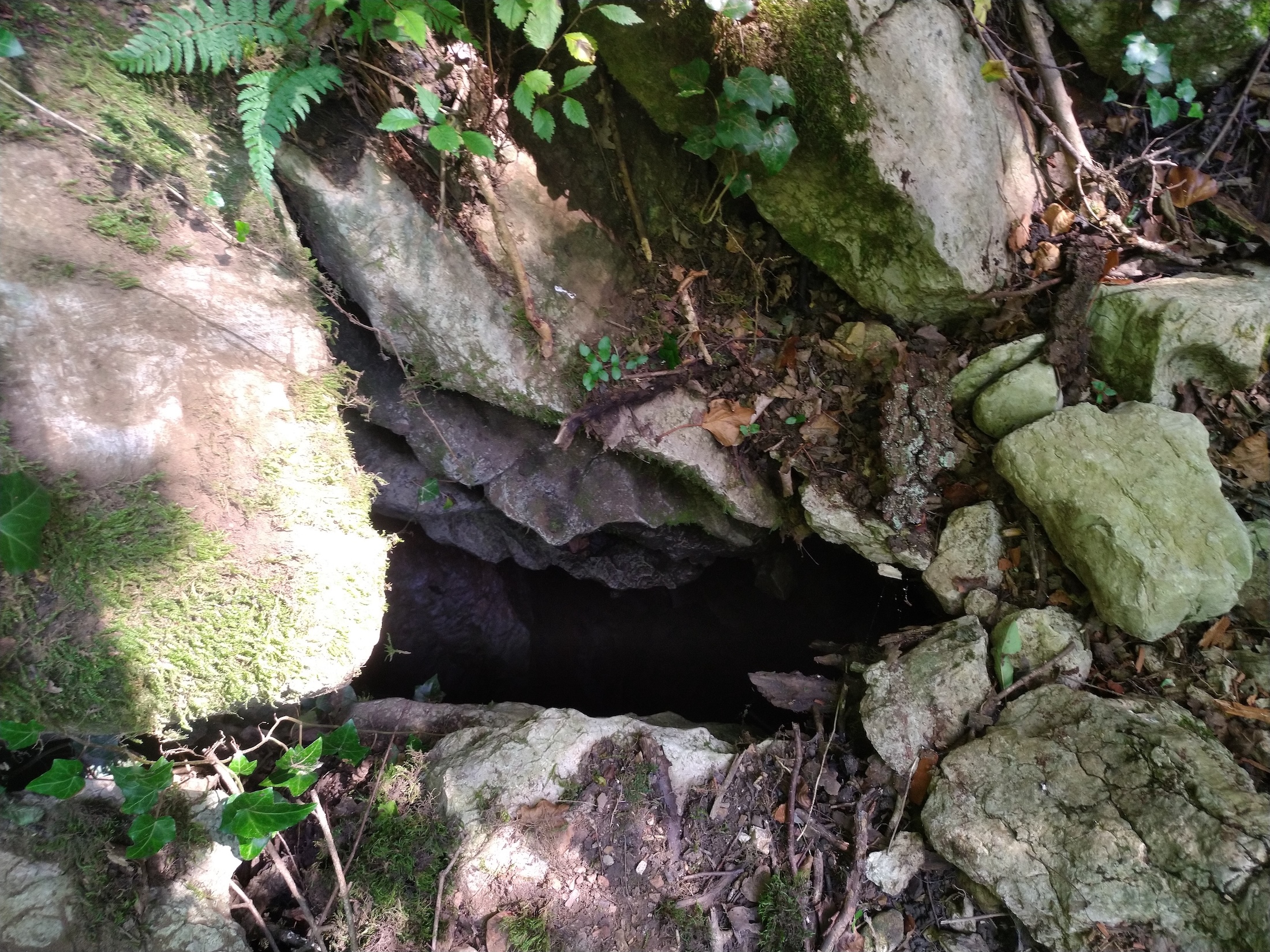 Avenul Raicovacia - Image 5